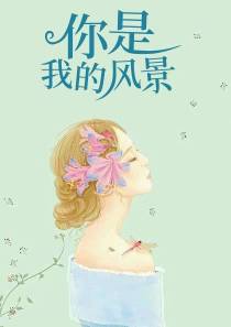 你是我的风景林辛言宗景灏