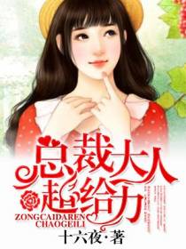 主角陆白安夏儿的小说