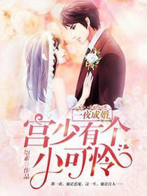 一夜成婚温南枳宫沉