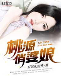 桃源致富经陈小南