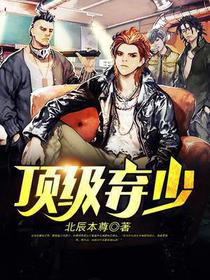 顶级神豪北辰本尊