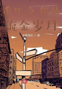 重生之我的流金岁月