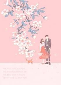 春木泓萧