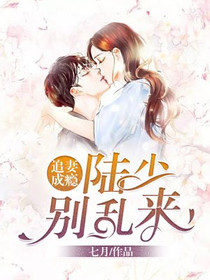 追妻成瘾：陆少别乱来