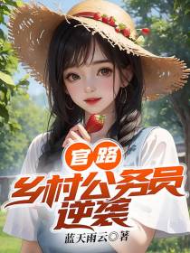 官路：乡村公务员逆袭