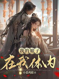 我的娘子在我体内