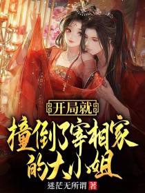 开局就撞倒了宰相家的大小姐