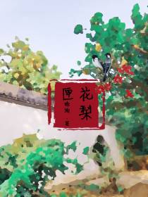 花梨匣