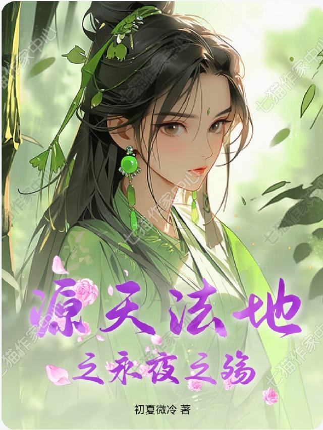 源天法地之永夜之殇