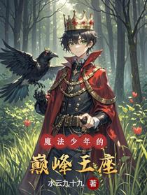 魔法少年的巅峰王座