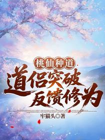 桃仙种道：道侣突破反馈修为